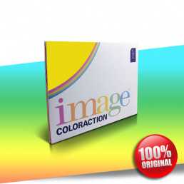 Papier Coloraction Mix Intense 80g A4 ryza-100ark