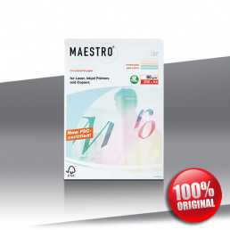Papier Maestro Pastel mix 80g A4 ryza-250ark