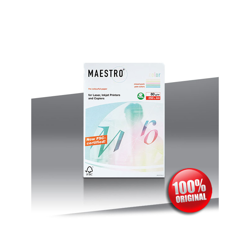 Papier Maestro Pastel mix 80g A4 ryza-250ark